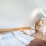 Polana * Bukowina Tatrzańska