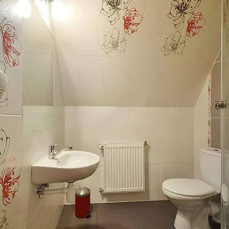 Polana * Bukowina Tatrzańska