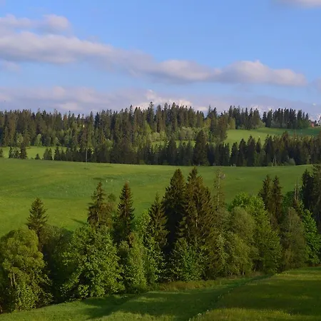 Rum i privatbostad Polana Bukowina Tatrzańska
